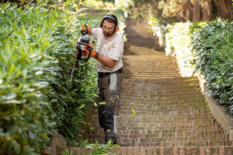 Ein Mann schneidet eine Hecke mit einer STIHL-Kettensäge